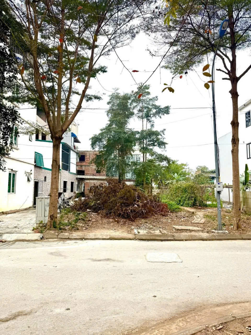 ha phong e10 05 1