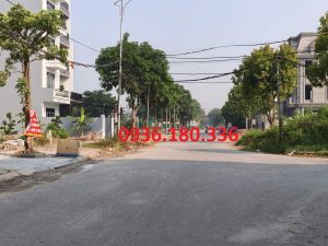Cienco 5 mê linh